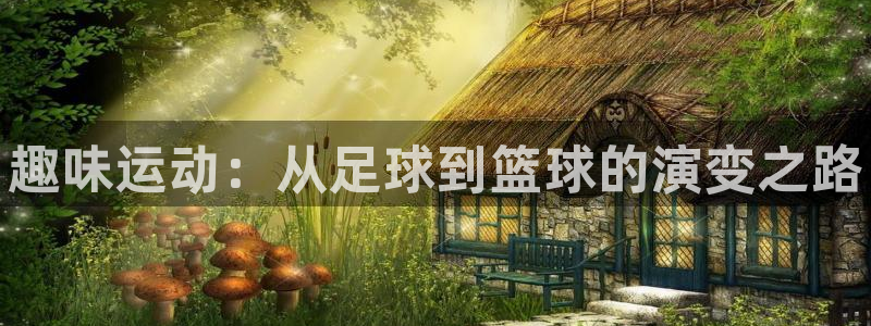 凯发官网下载平台是正规平台吗：趣味运动：从足球到篮球