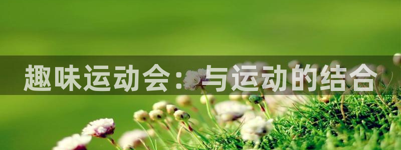 凯发官方正版app娱乐平台：趣味运动会：与运动的结合