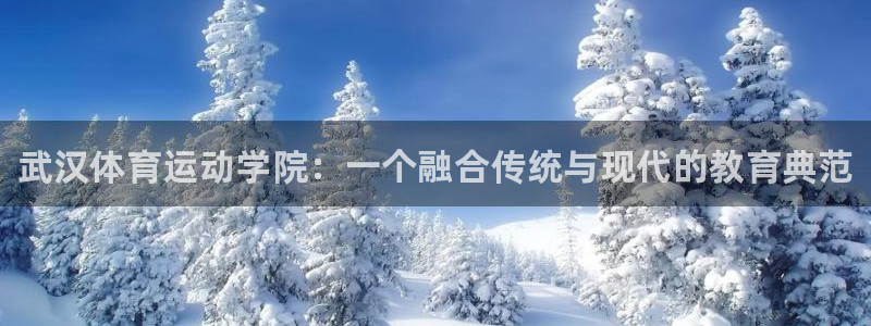 凯发官方正版app集团logo：武汉体育运动学院：一