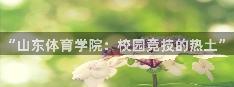 凯发官网下载官方客服电话：“山东体育学院：校园竞技的热土”