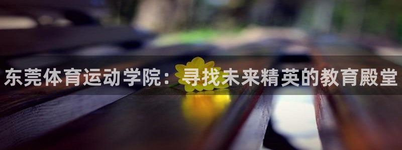 凯发官方正版app娱乐网站：东莞体育运动学院：寻找未来精英的