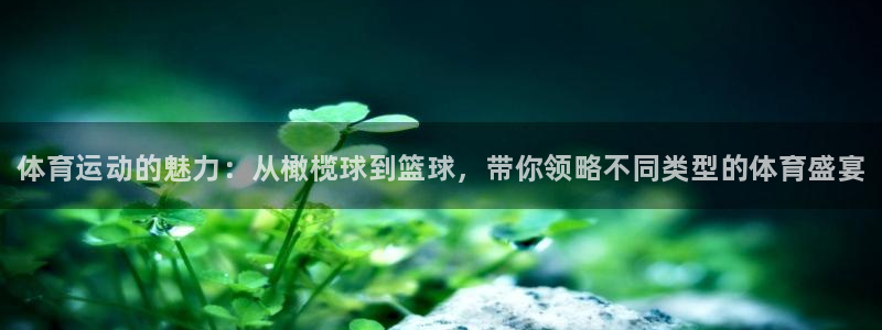 凯发官方正版app娱乐40996：体育运动的魅力：从