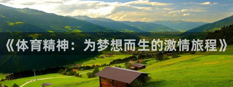 凯发官网下载平台APP：《体育精神：为梦想而生的激情旅程》