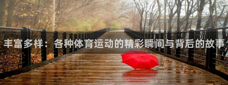凯发官方正版app娱乐代理怎么样：丰富多样：各种体育