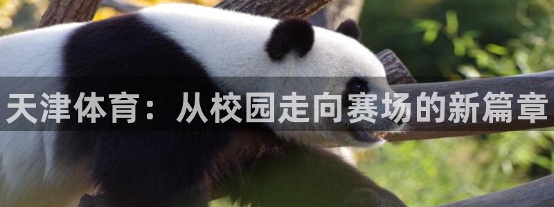 凯发官网下载平台是正规平台吗