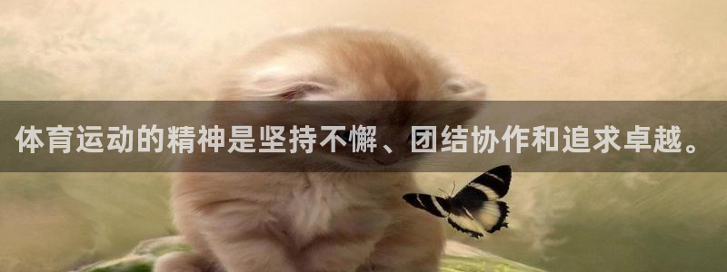 海南凯发官网下载发展怎么样：体育运动的精神是坚持不懈