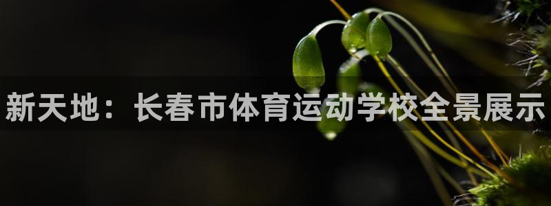 凯发官方正版app代理：新天地：长春市体育运动学校全