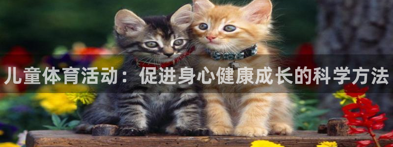 凯发官网下载平台APP