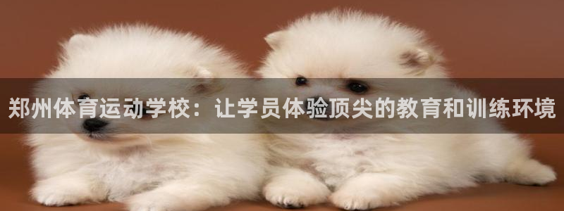 凯发官网下载注册：郑州体育运动学校：让学员体验顶尖的教育和训