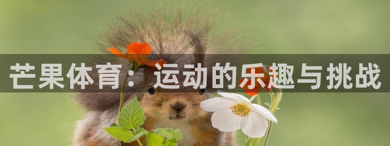 凯发官网下载招商电话：芒果体育：运动的乐趣与挑战
