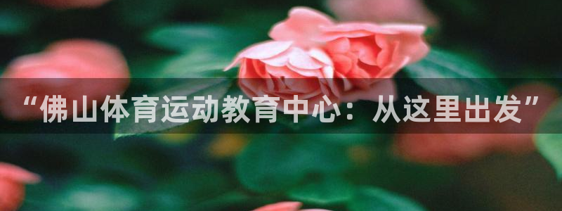 凯发官方正版app集团：“佛山体育运动教育中心：从这