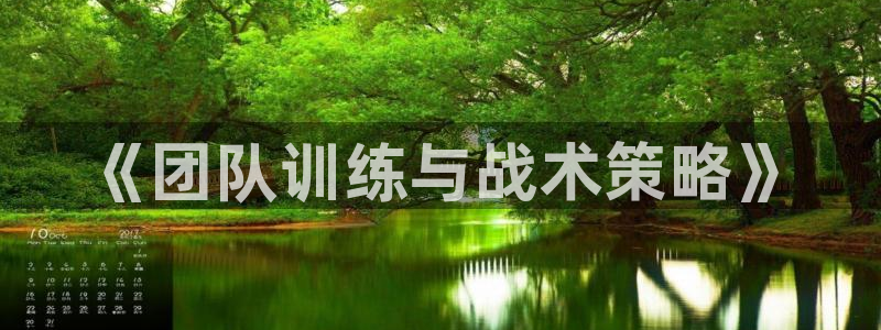 凯发官网下载娱乐：《团队训练与战术策略》