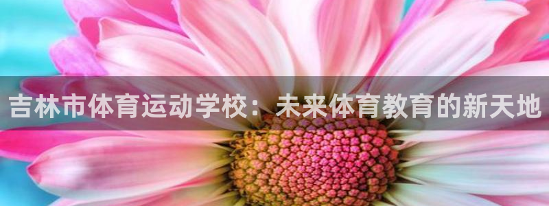 凯发官方正版app集团官网网址：吉林市体育运动学校：未来体育