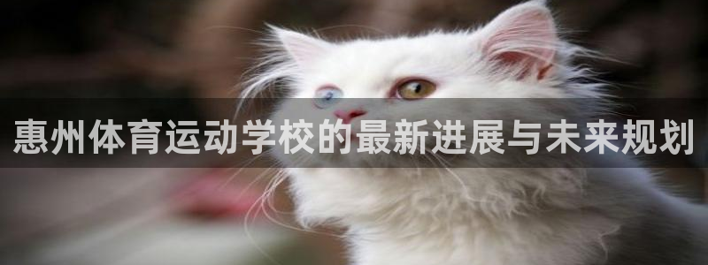 凯发官网下载平台注册要钱吗安全吗：惠州体育运动学校的最新进展
