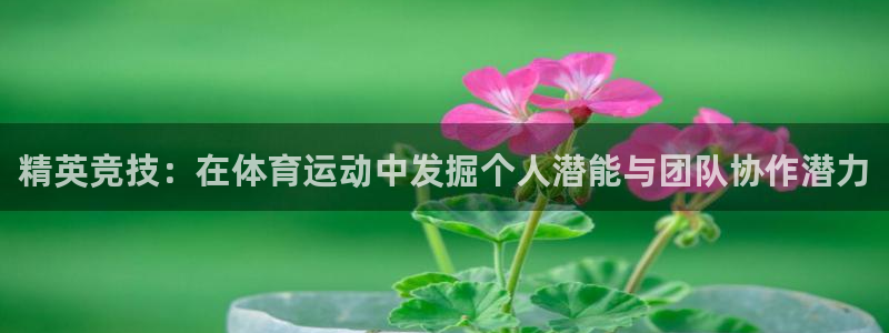 凯发官方正版app娱乐下载：精英竞技：在体育运动中发掘个人潜