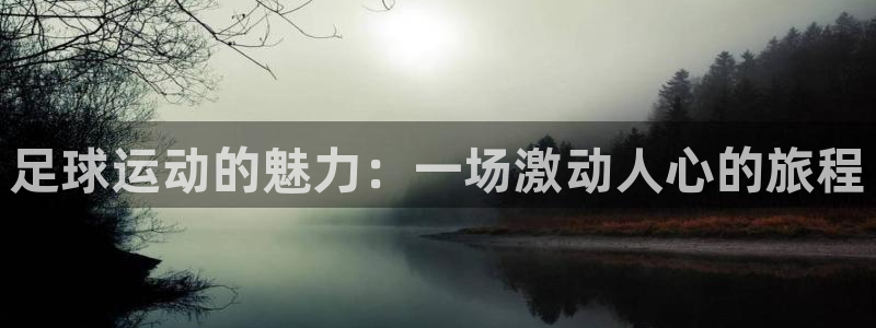 凯发官方正版app集团简介：足球运动的魅力：一场激动人心的旅