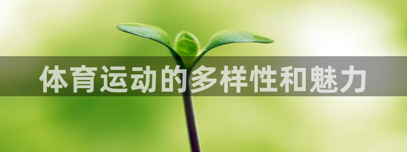凯发官方正版app娱乐下载：体育运动的多样性和魅力