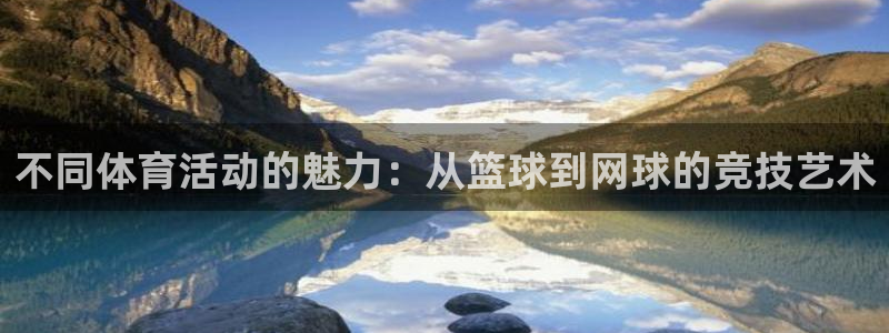 海南凯发官网下载发展怎么样：不同体育活动的魅力：从篮球到网球