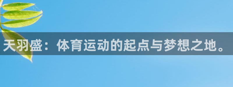 凯发官方正版app娱乐是那个系列的台子：天羽盛：体育运动的起