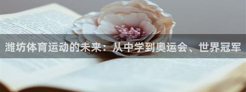 凯发官方正版app集团官网首页网址：潍坊体育运动的未来：从中