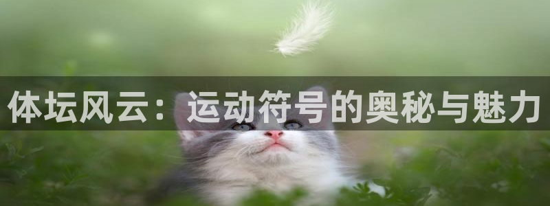 凯发官方平台体育：体坛风云：运动符号的奥秘与魅力