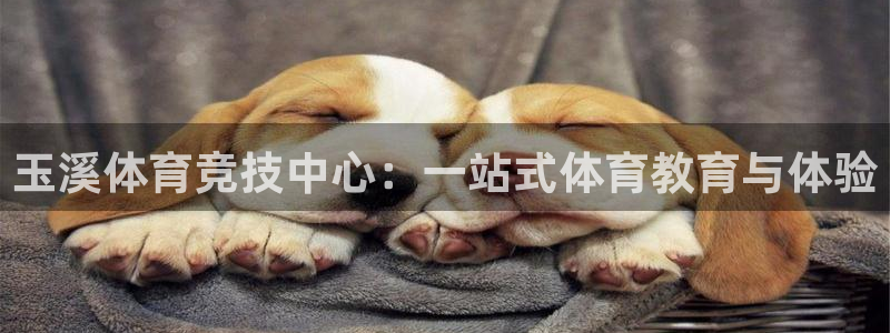 凯发官网下载招商电话是多少：玉溪体育竞技中心：一站式体育教育