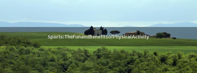 凯发官方正版app集团官网首页：Sports:TheFuna