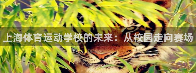 凯发官方正版app娱乐下载：上海体育运动学校的未来：从校园走