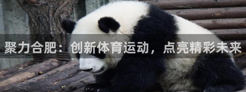 凯发官网下载招商电话号码是多少啊：聚力合肥：创新体育运动，点