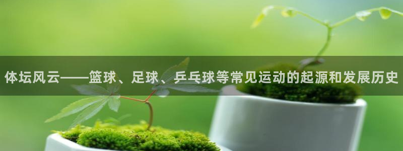 凯发官方正版app官网：体坛风云——篮球、足球、乒乓球等常见