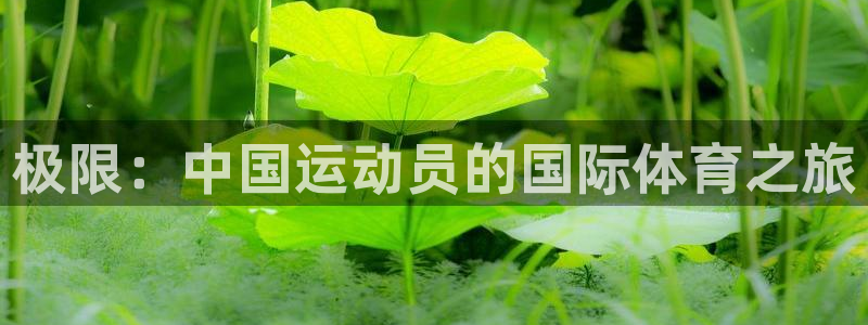 凯发官网下载平台注册要钱吗安全吗：极限：中国运动员的