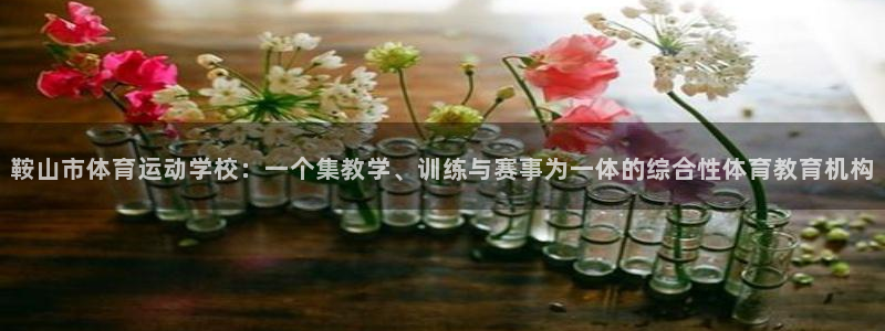 凯发官方正版app官网：鞍山市体育运动学校：一个集教