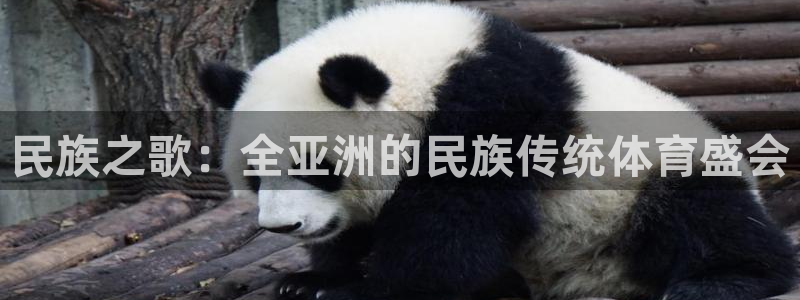 凯发官网下载平台APP：民族之歌：全亚洲的民族传统体